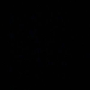 Meet your Posher, Janaly